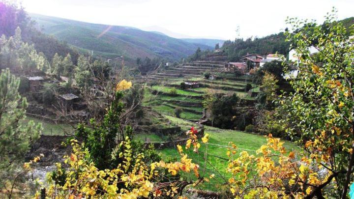 Refugio Da Estrela Aguincho
